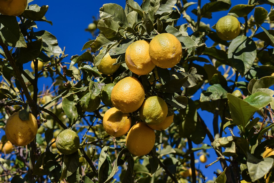 limone sul garda